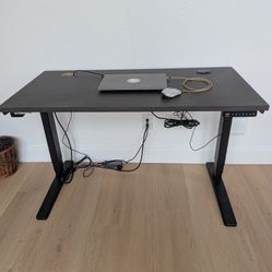 Adjustable Electric Standing Desk