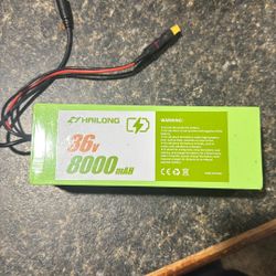 Hailong 36V 8000mAH