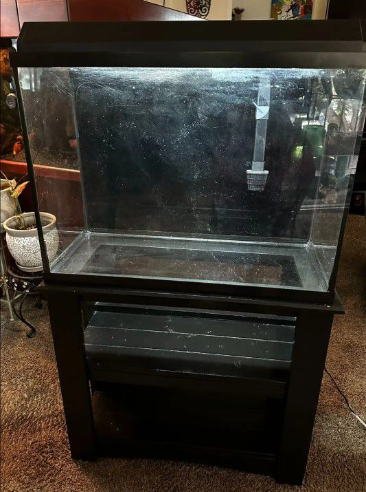 39 Gallon Aquarium With Stand, Filter, And Decorations For Sale