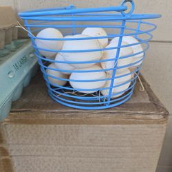 Fresh Eggs