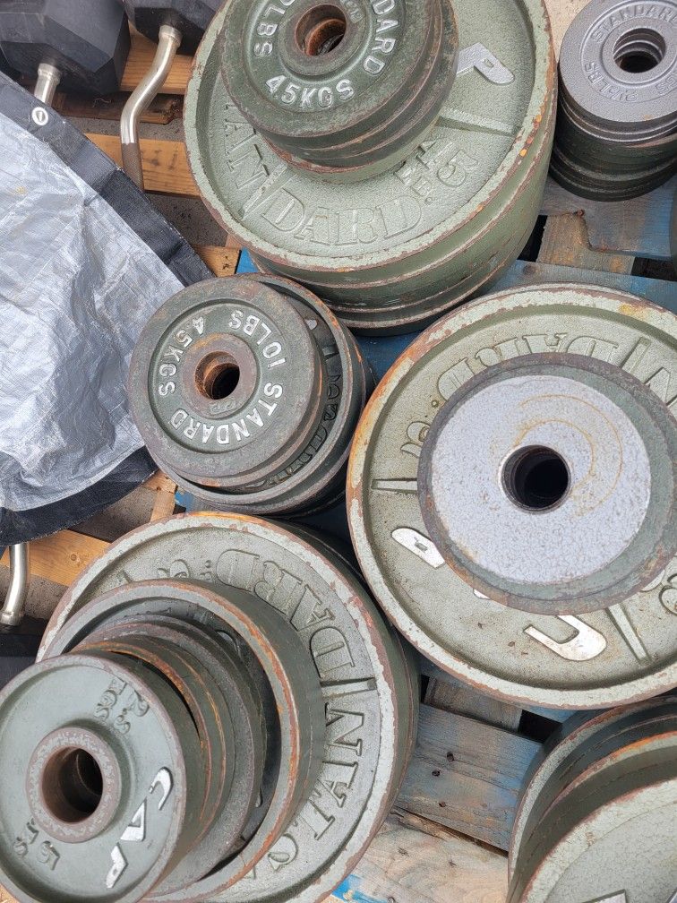 Olympic Barbell Weight For Gym