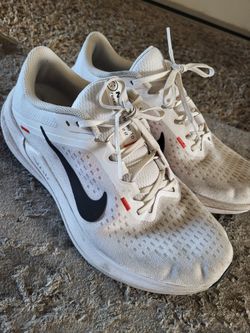 Mens Nike Winflo 10 Running Shoe Size 9