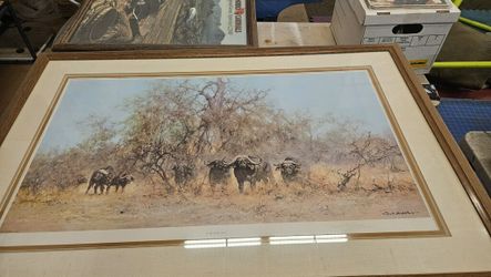 Signed David Shepherd