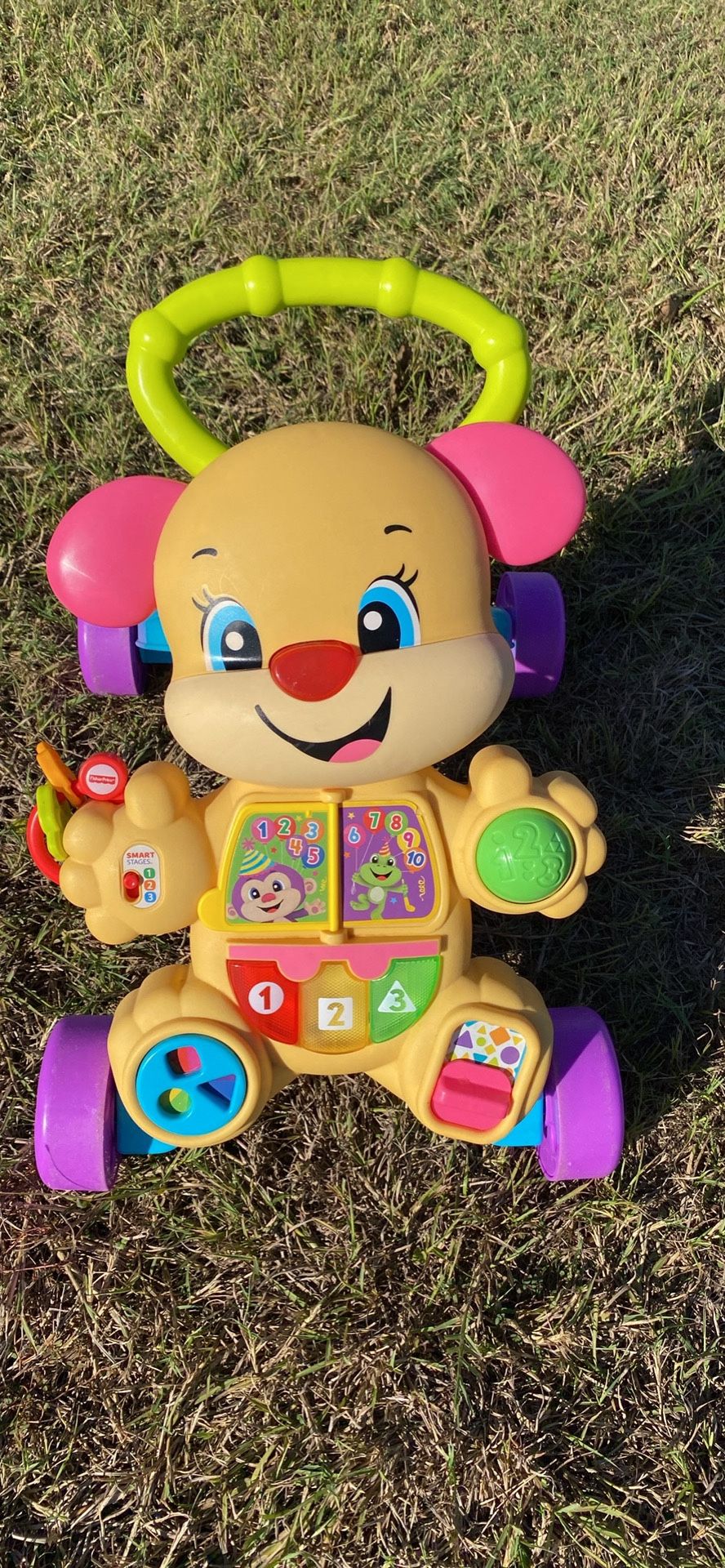 Fisher Price Infant Walker/Toy