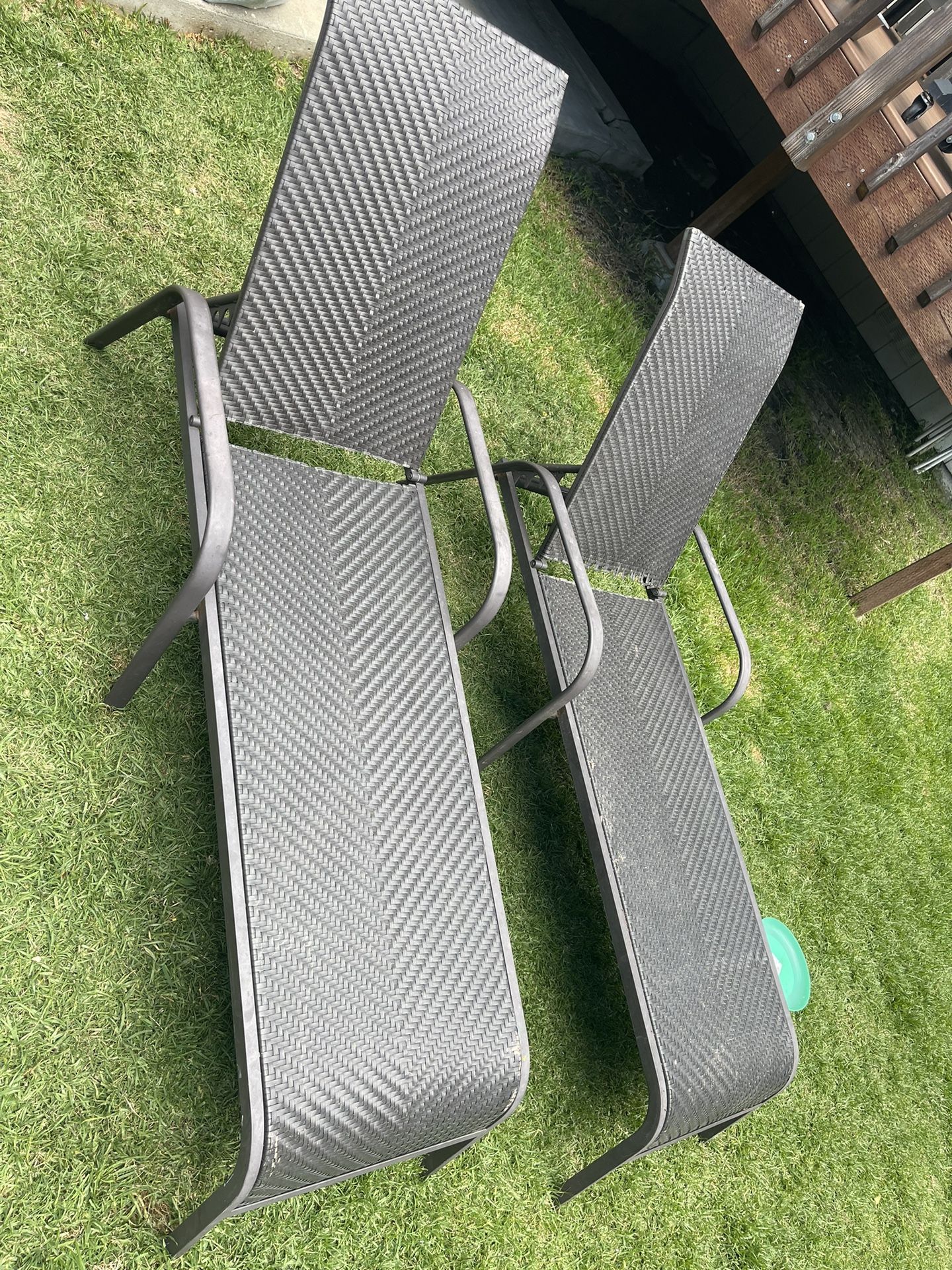 Lounge Chairs