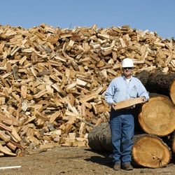 Seasoned Firewood 