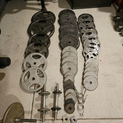 Weight Bench and Weights