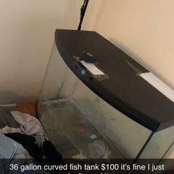 36 Gallon Fish tank 