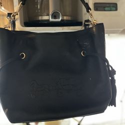 coach bags 150   Michael Kors bag 125