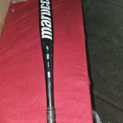 Baseball Bat