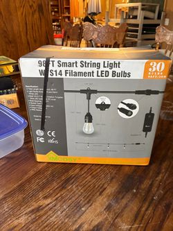 XMCOSY 98FT Smart String Light with 30 S14 LED Bulbs
