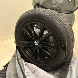 BMW X5 Winter Tires  With The Allow Wheels 