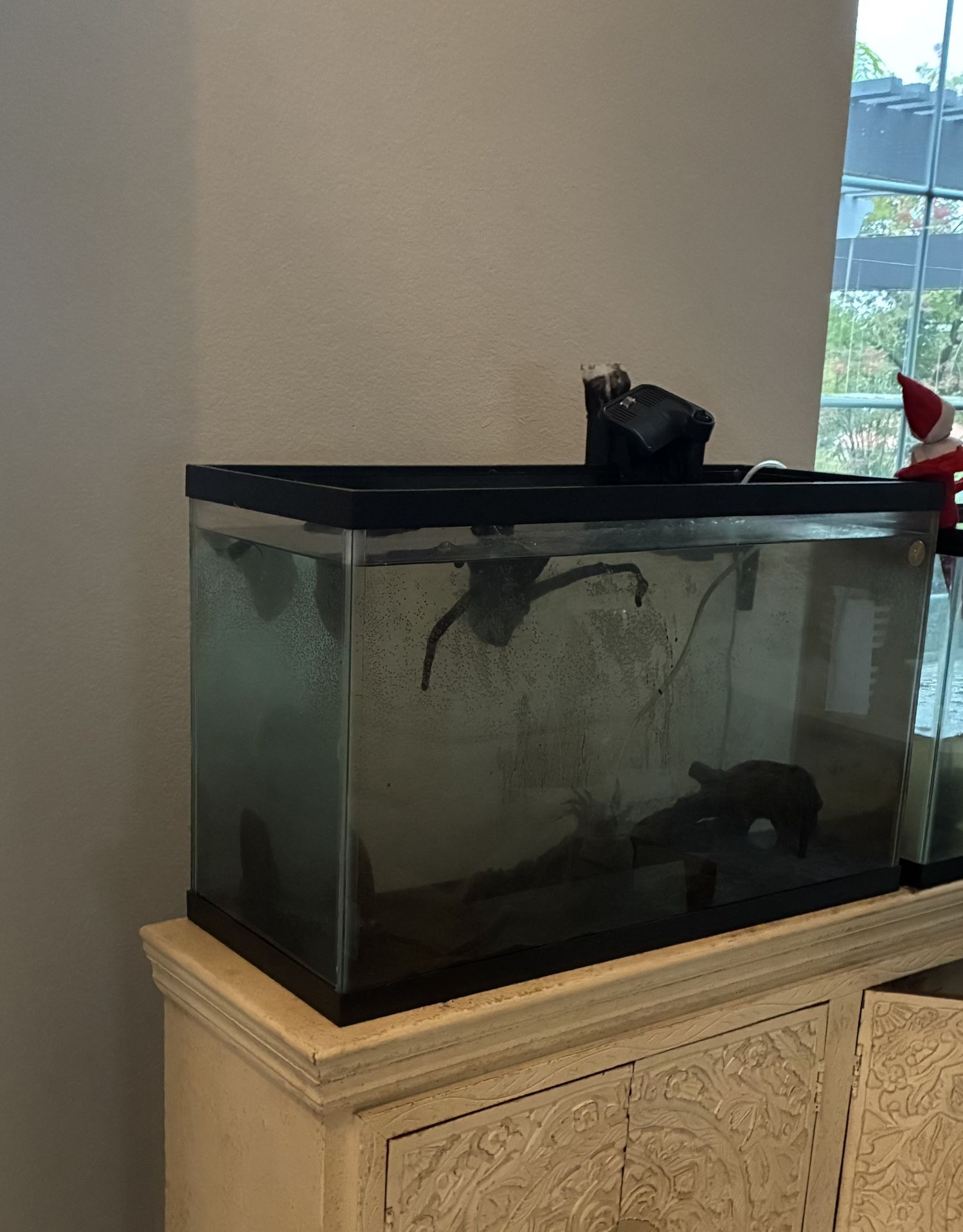 29 Gallon Fish Tank 2 Filters NEED GONE