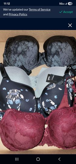 Torrid 33DD bras