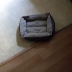 Dog Bed