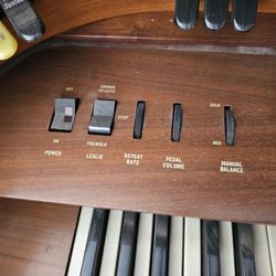 Organ And  Panio