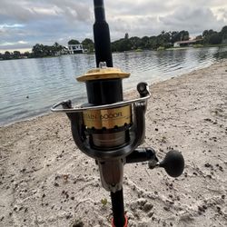 🎣 Preowned Shimano Sustain 6000FE Reel & Preowned Shimano 7FT 20-40Lb Rod 🔥 