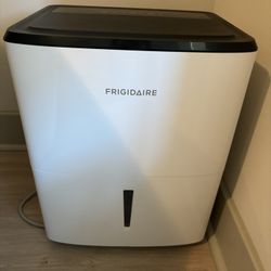 Frigidaire 22 Pint Dehumidifier 