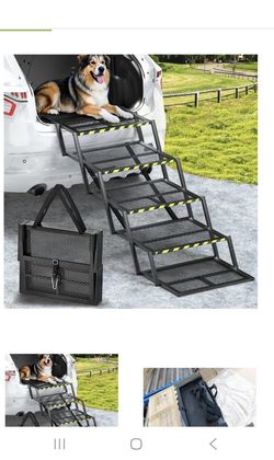 Extra Wide Dog Stairs