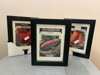 Card Seed. Co. Framed Vintage Card Seed Label Art!