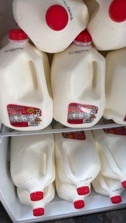 Whole Milk - Leche