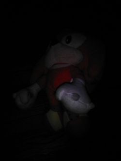 Stuffed Animal