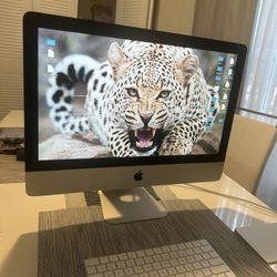 Computadora 