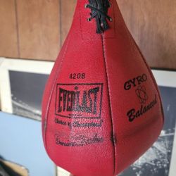 Speed Bag With Wall Mount
