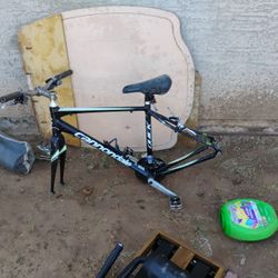 Cannondale