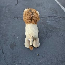 Leoncito