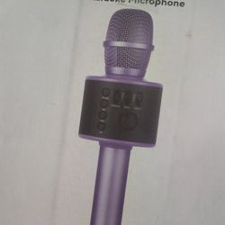 Karaoke Microphone