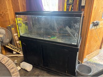 75 gallon tank with stand