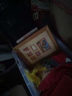 FSU Florida State Shadow Box Framed Display