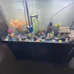 Fish Tank 75 Gallon Aquarium 