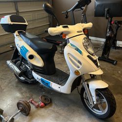 Ice bear Scooter