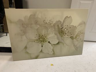 Any 3 Pictures $35 Each Awesome Deal 