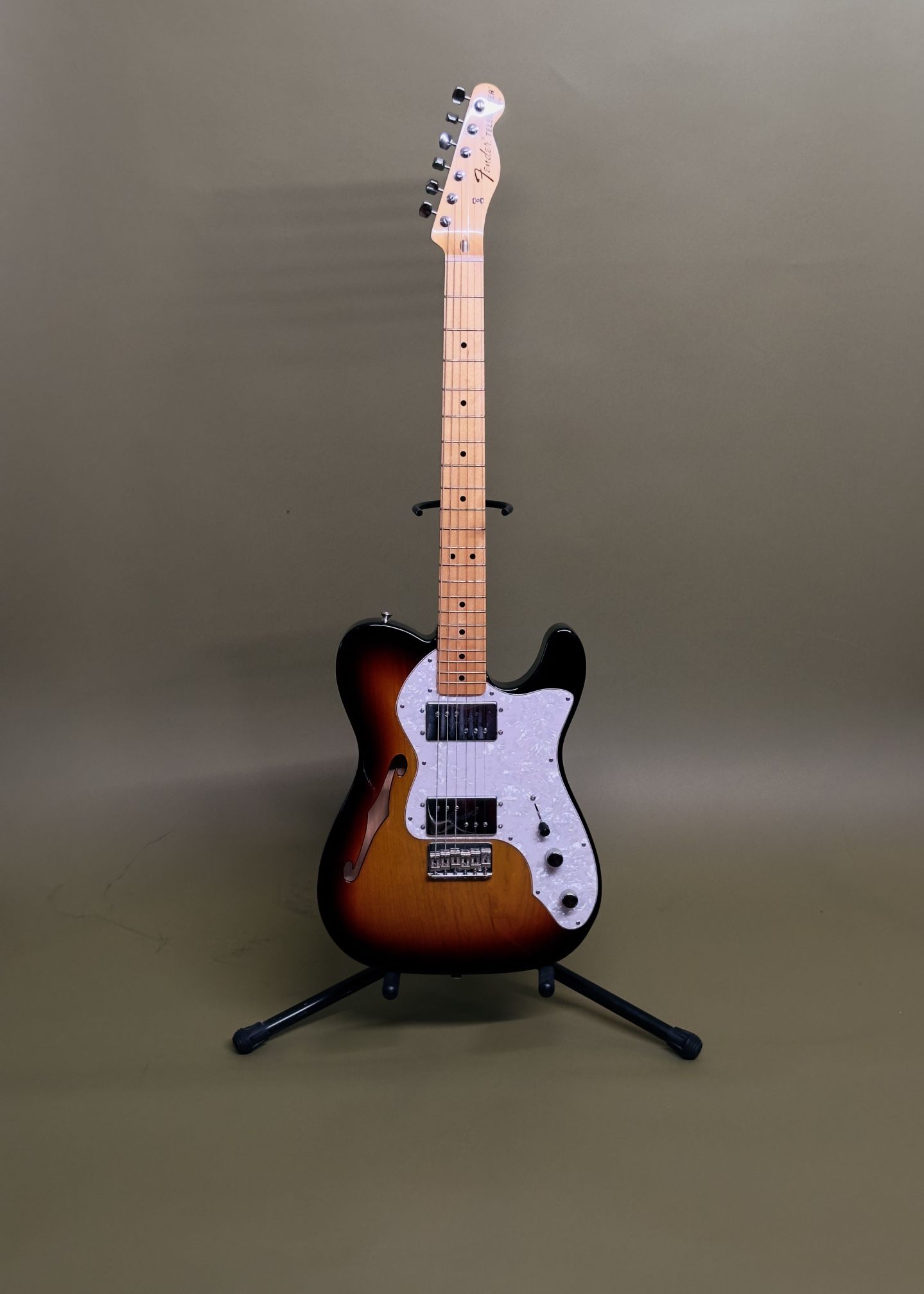 Telecaster Thinline