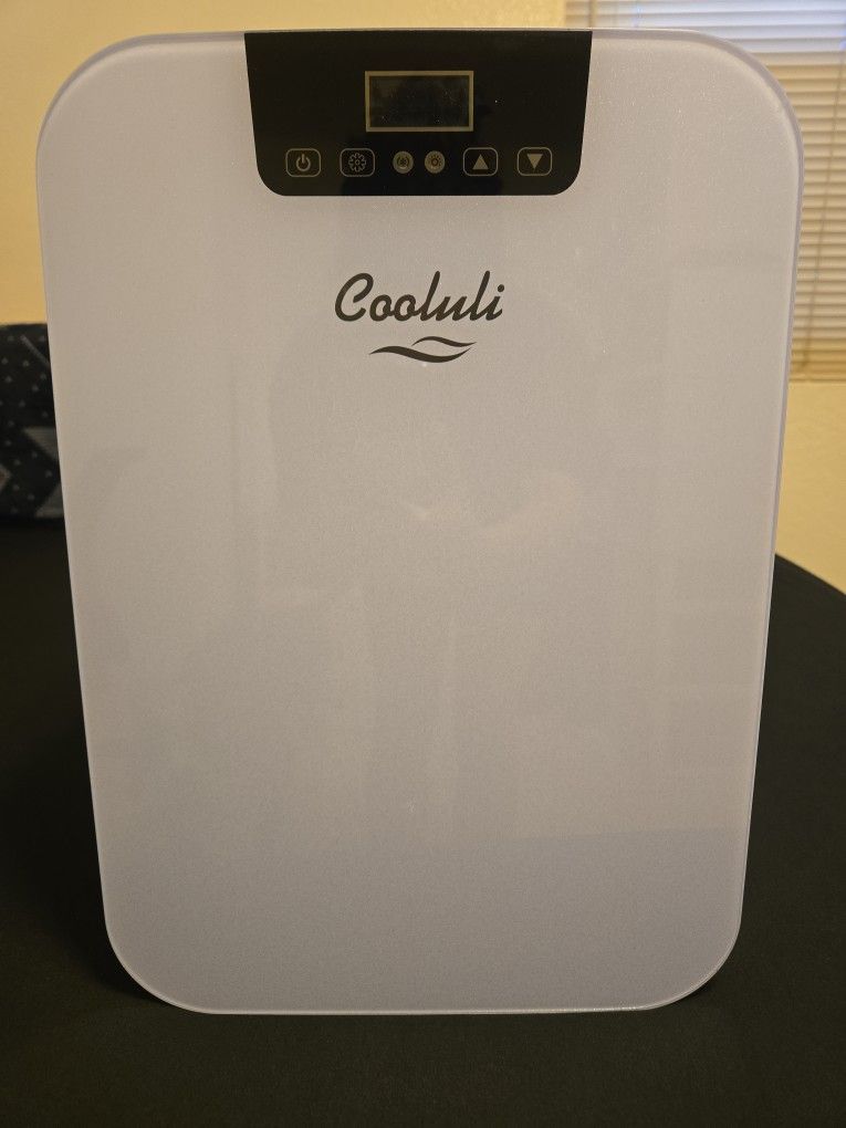 Mini Fridge