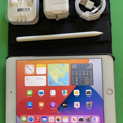 Apple iPad mini 5 (5th Generation/7.9” retina/ latest IOS 17 /2019 Model ) 64GB with stylus pen, case  & Accessories (256GB $399) 