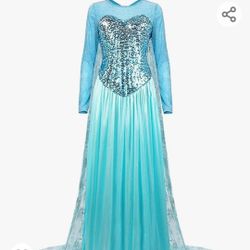 Frozen Elsa & Anna Costumes
