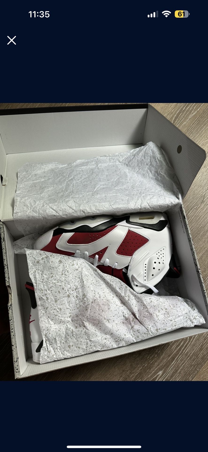 Air Jordan Carmine 6s