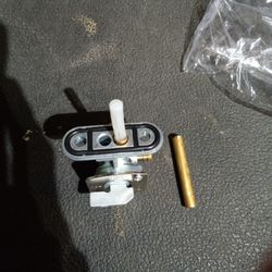 Fuel Valve