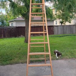 12 ft. Wooden Ladder Hillside, Il (vicinity of Wolf rd/  Butterfield rd) see maps