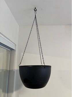 12in Hanging Planter