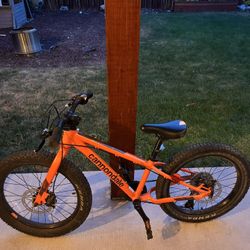 Cannondale Mtb Children Bike