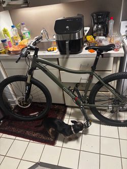 CO-OP DRT 1.2 Olive Green