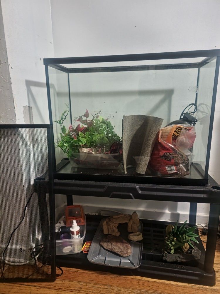 Reptile Terrarium