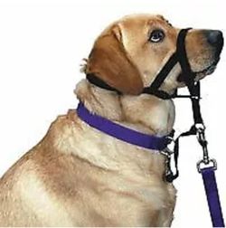 Halti dog head collar size 3 black