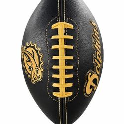 🏈 Limited Edition Miami Dolphins Collectible Football