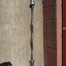 Olympic Curl Bar 